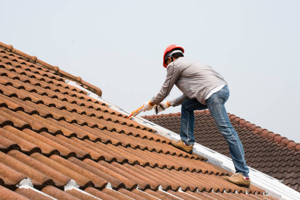 Best Asphalt Shingle Roofing  in Italy, TX